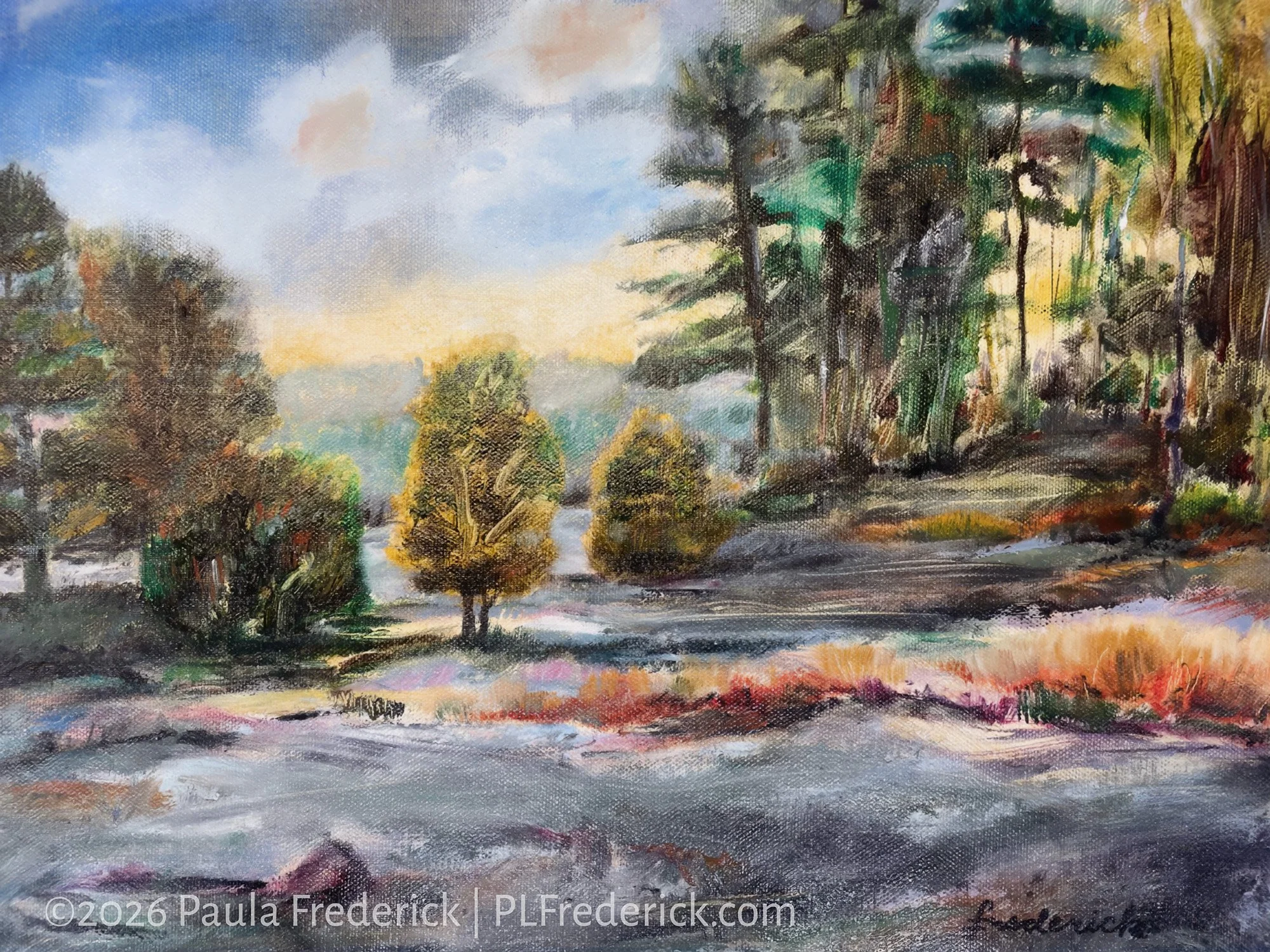 Spring 2024, Massachusetts | By Paula Frederick | Oil on canvas