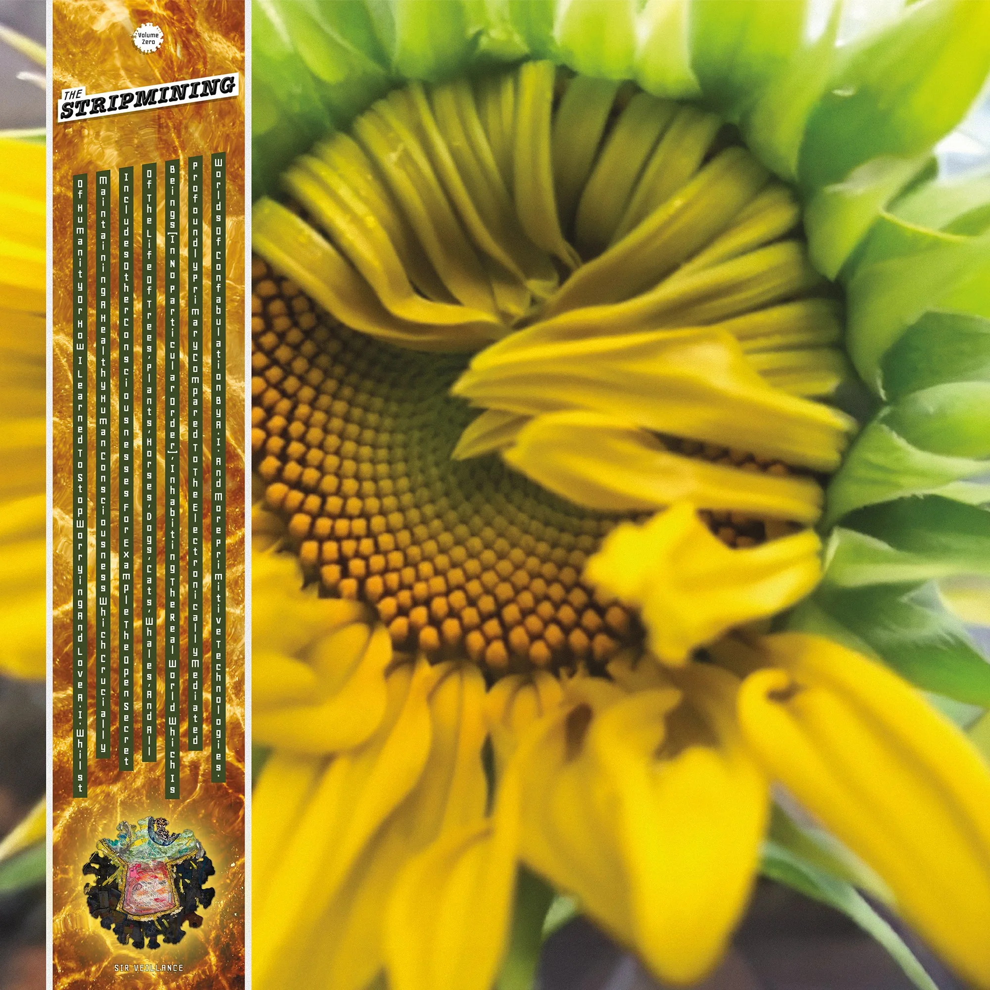 Vinyl album jacket (front) of 12-inch LP. Actual size:  12.25” x 12.25”.