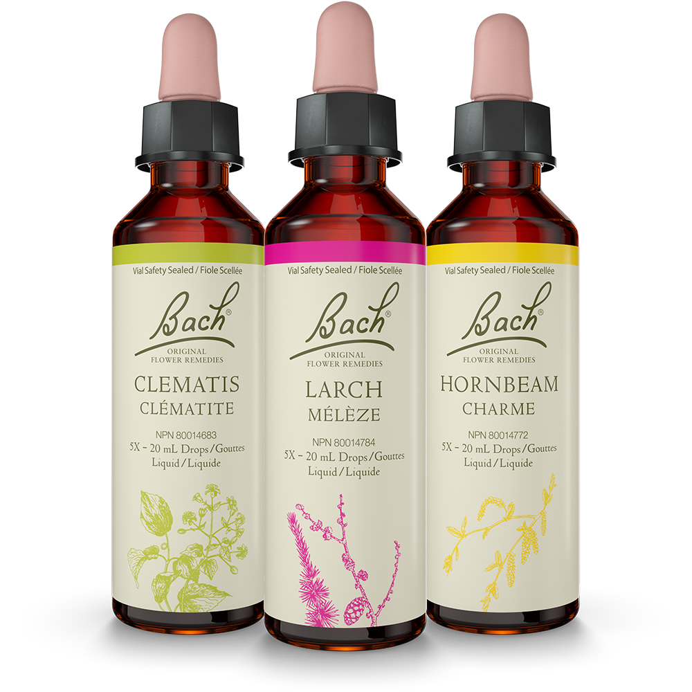 Canada package design: 3 bottles shown from the line of 38 Bach Original Flower Remedies 20mL size product. Dual-language design system (British English and French Canadian) that meets all regulatory and legal requirements. Actual size: 2.89” x 2.05”