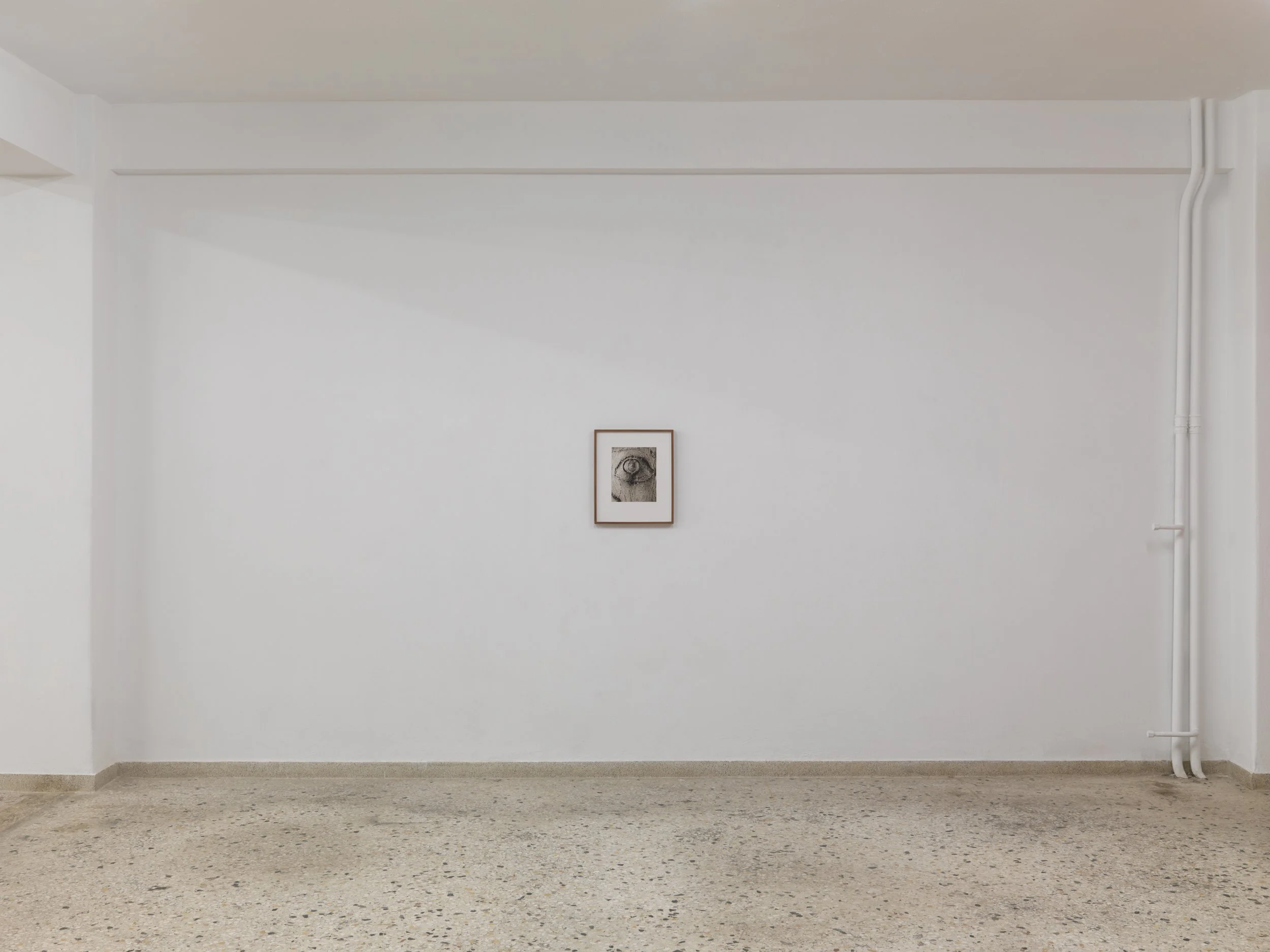 There Is Nothing Inevitable About Time, TAVROS, Athens, 3 February - 7 May 2022