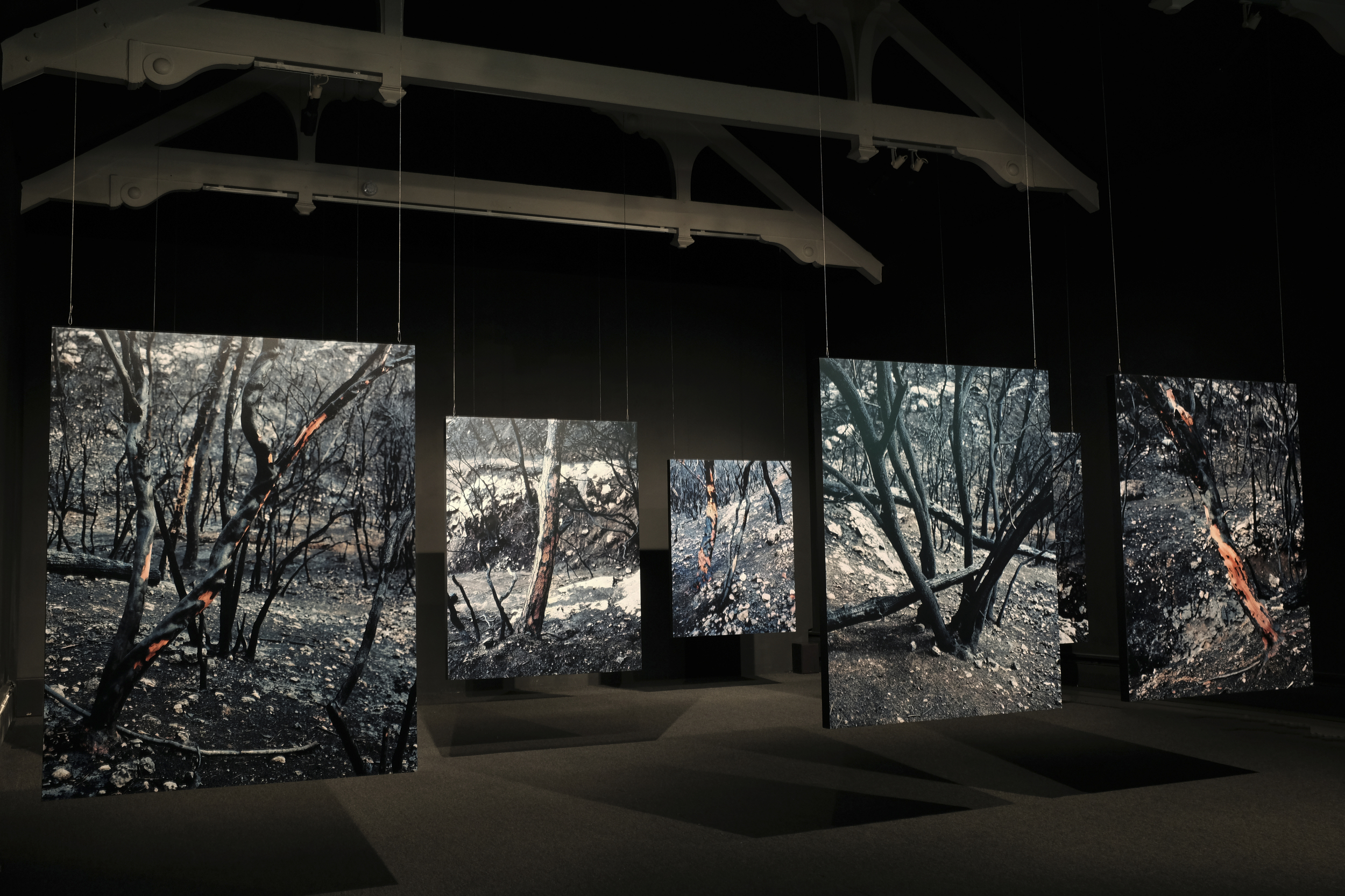 Wounded room installation: photographs and surround sound, Ffotogallery, Cardiff, 2015