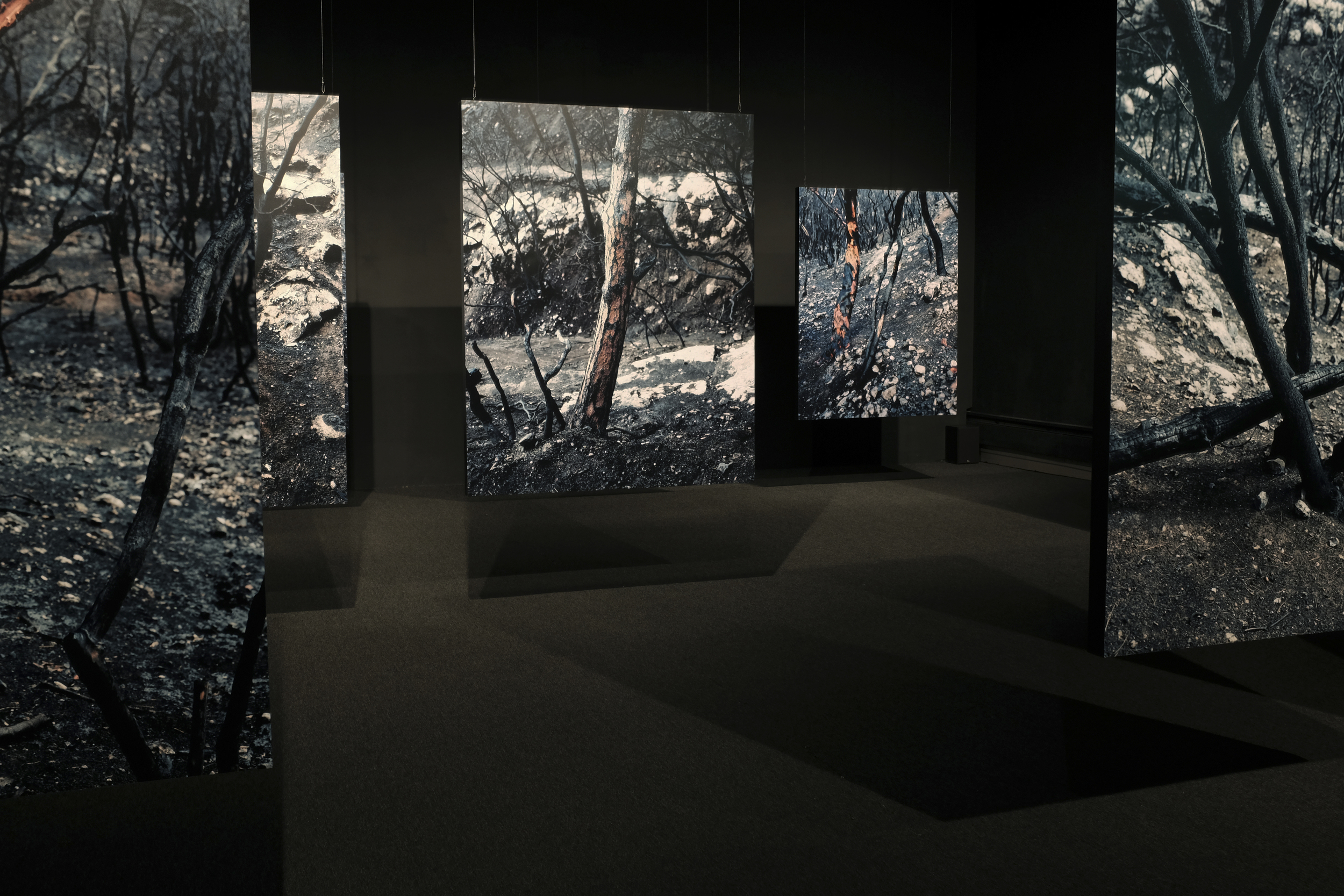 Wounded room installation: photographs and surround sound, Ffotogallery, Cardiff, 2015
