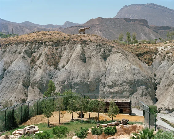 Accidental Topographies 2011