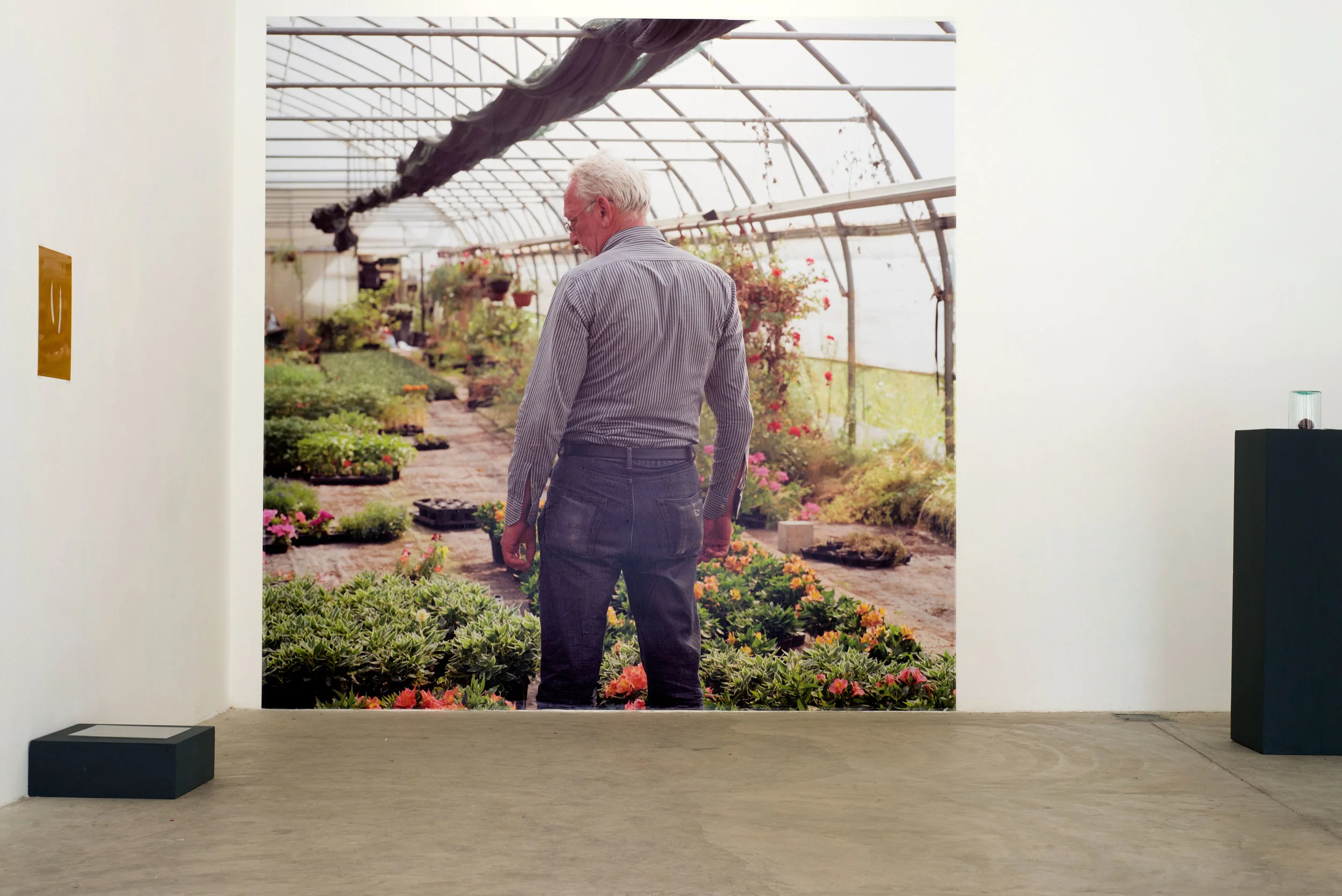 Open Lab: Plant / Lives, Darat al Funun, Amman, installation view, 2017