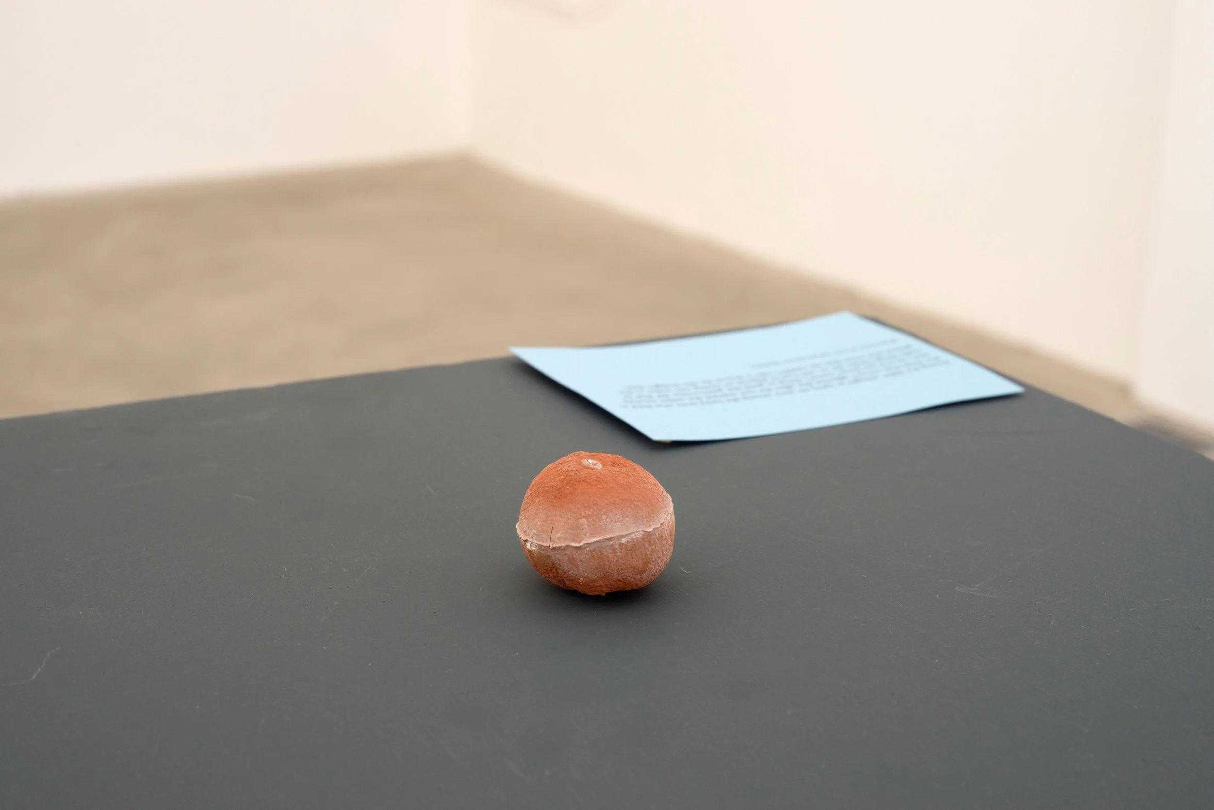 Open Lab: Plant / Lives, Darat al Funun, Amman, installation view, 2017