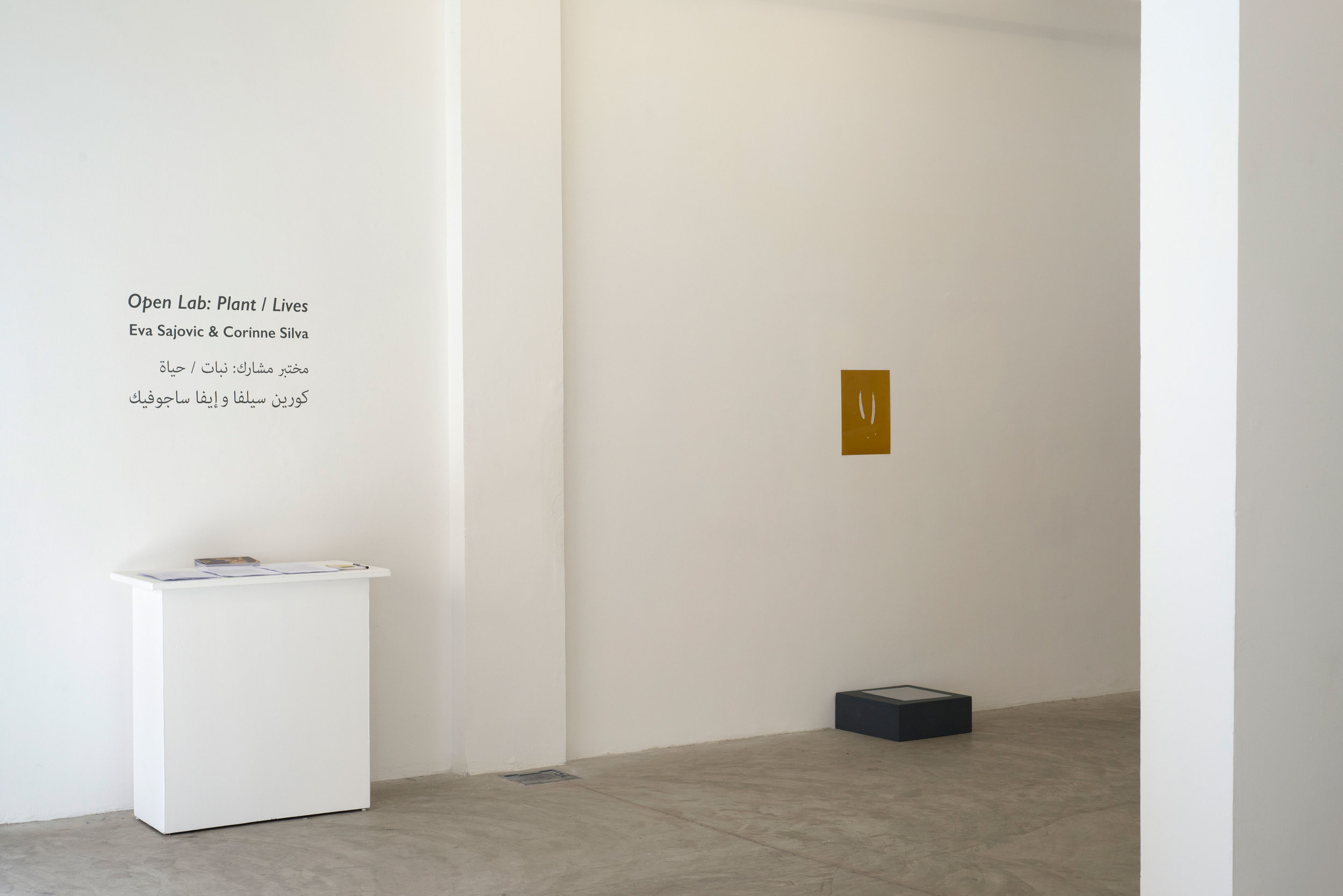 Open Lab: Plant / Lives, Darat al Funun, Amman, installation view, 2017