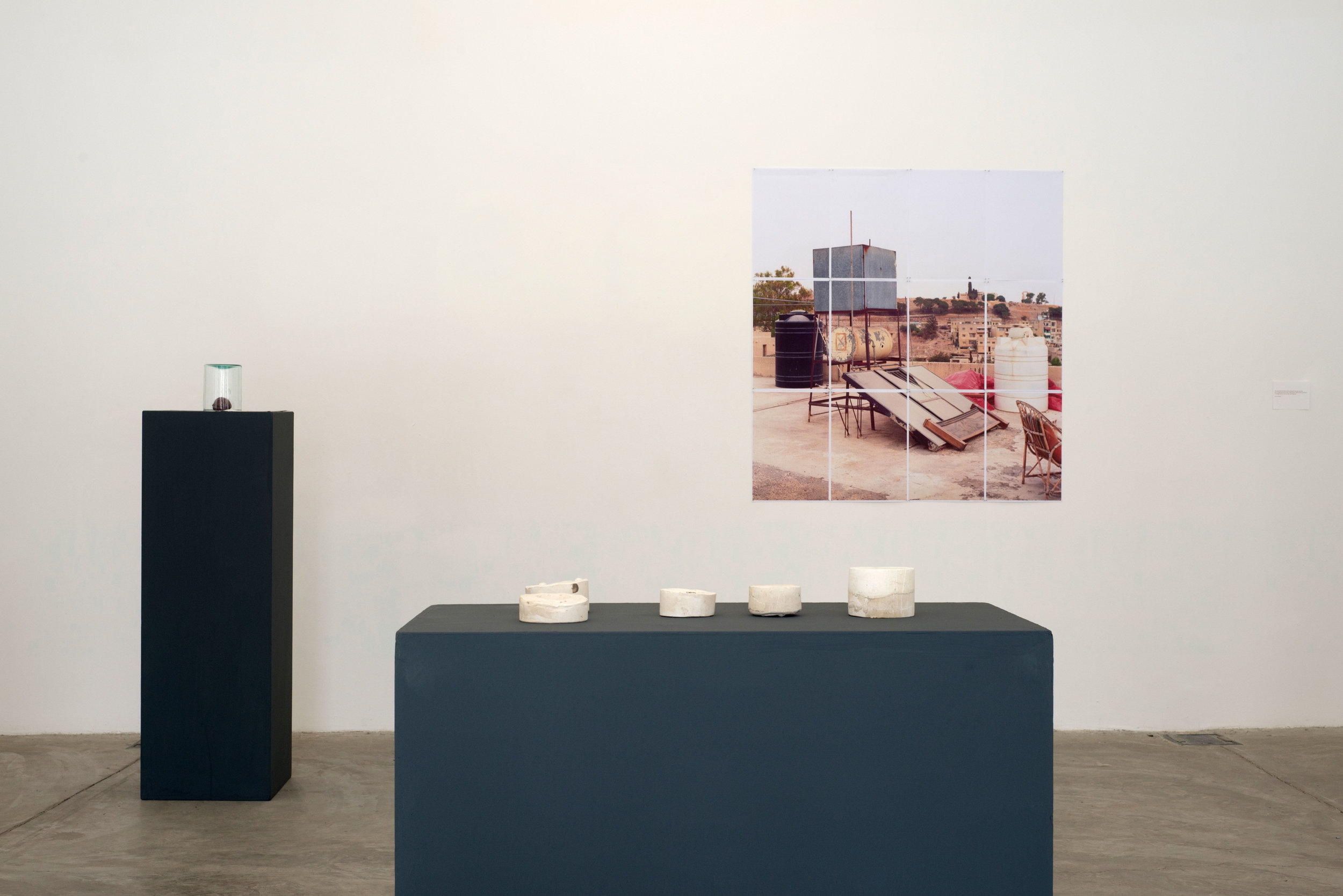 Open Lab: Plant / Lives, collaboration with Eva Sajovic, installation view, Darat al Funun, Amman