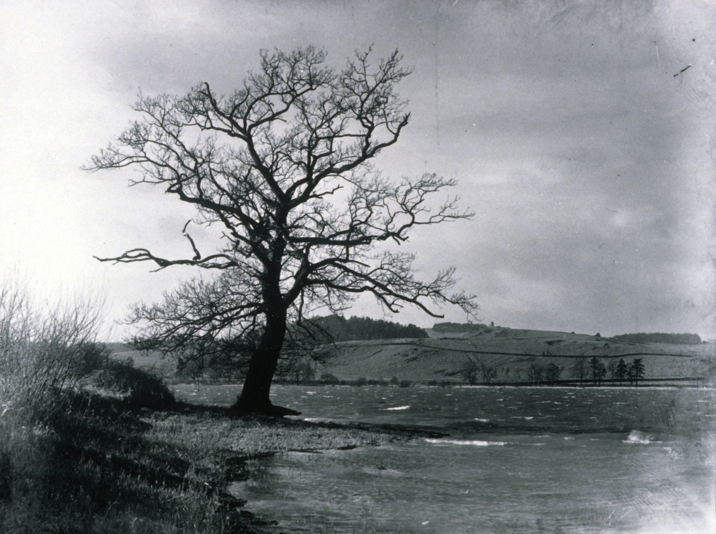 LANDSCAPE NOW, 30 November &amp; 1 December 2017