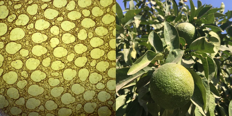 Funding awarded for new research network Picturing Climate, 2018