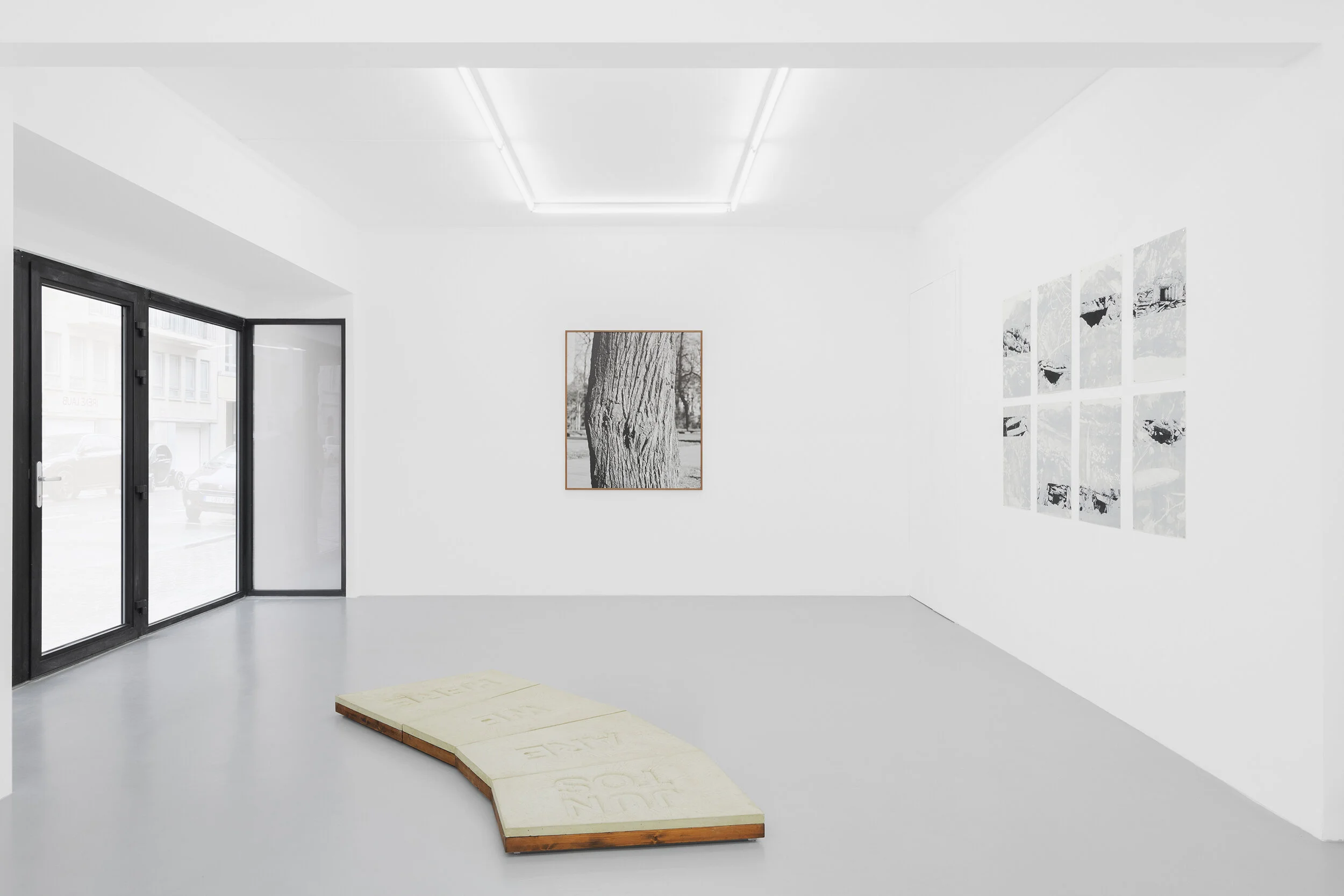 Resilience, an Aptitude, Iréne Laub Gallery, Brussels, 10 March to 11 April 2020