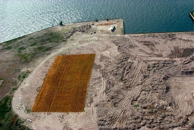 Wheatfield &ndash; A Confrontation: Battery Park Landfill, Downtown Manhattan &ndash; Aerial View.  Agnes Denes, 1982.⁣
⁣
&ldquo;My decision to plant a wheat field in Manhattan instead of designing just another public sculpture, grew out of the longs