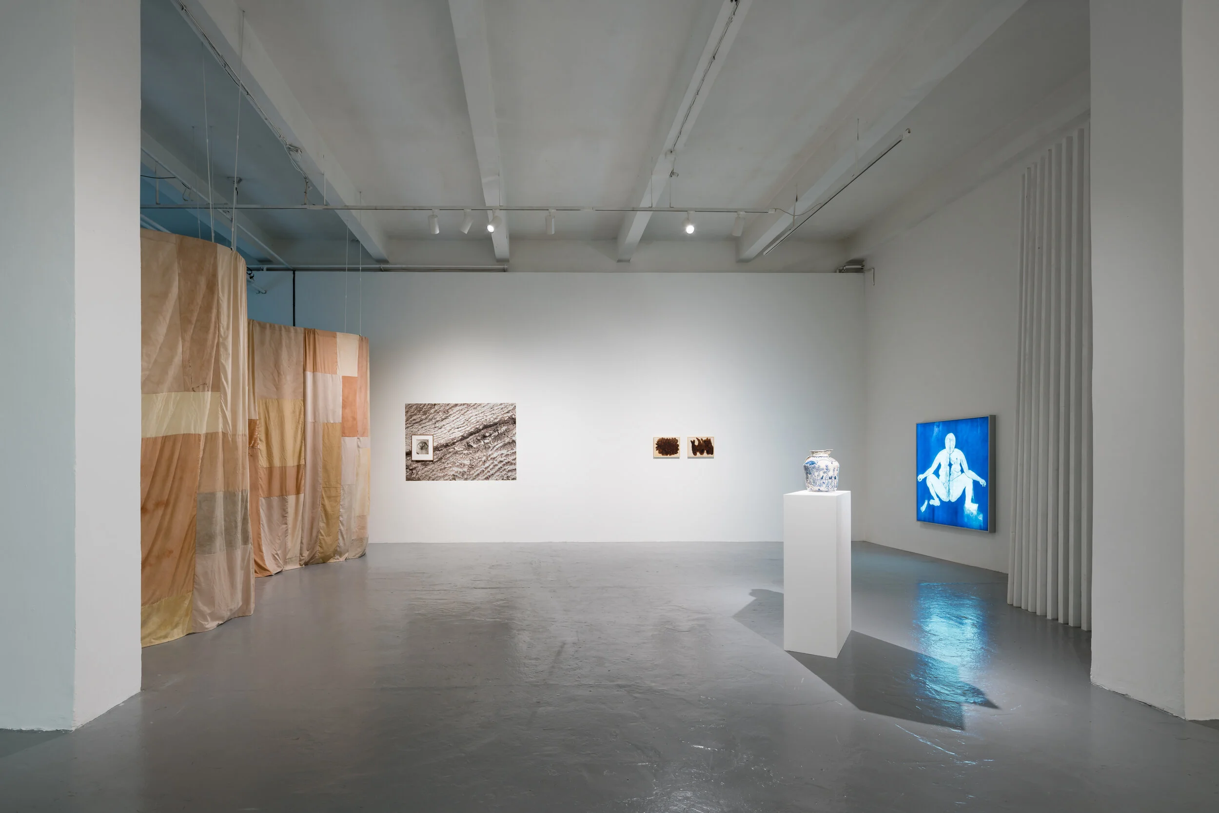 Planted in the Body, Meet Factory, Prague, 29 June to 22 August 2021 