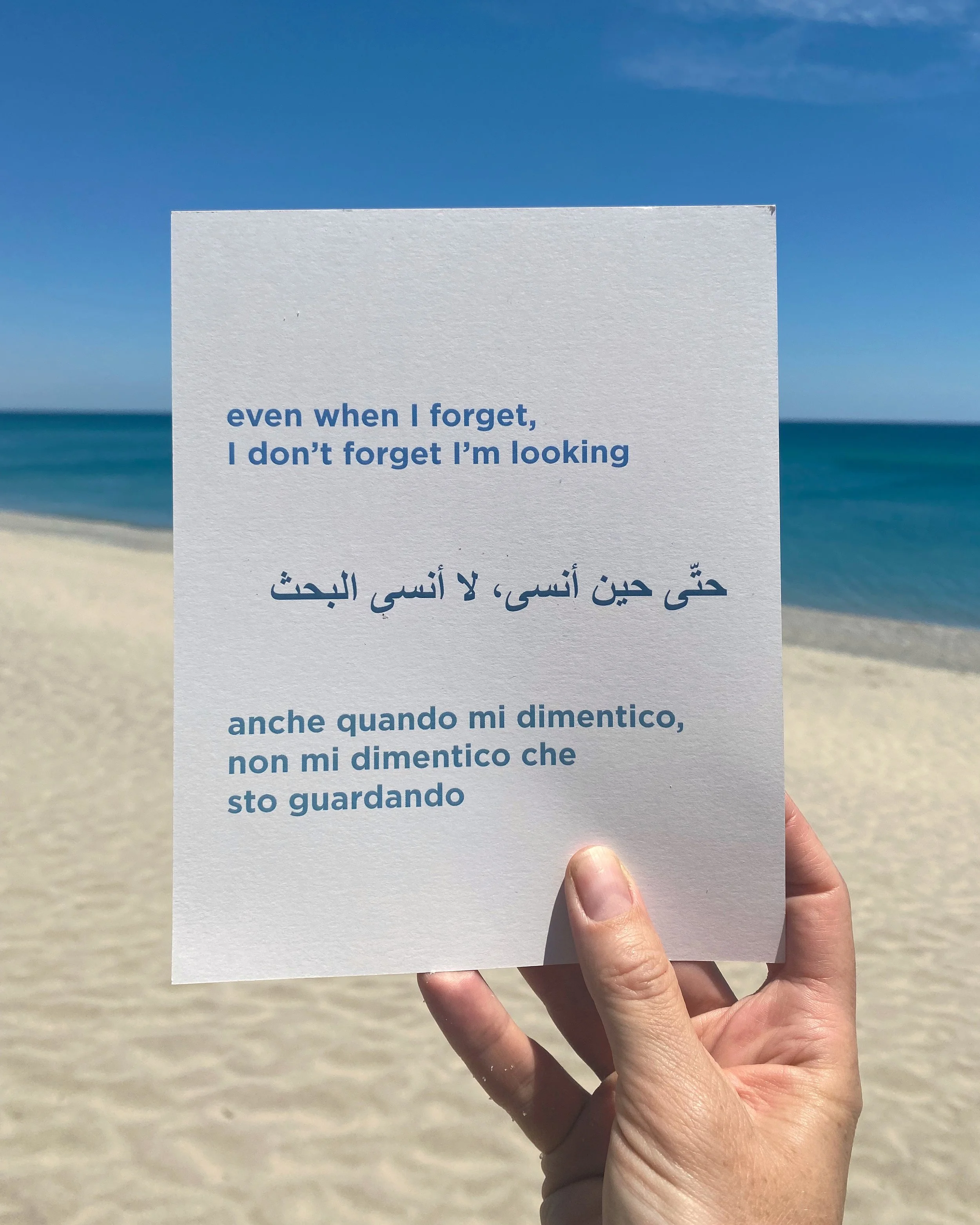 Rocks & Fortresses: The Sailor 2022