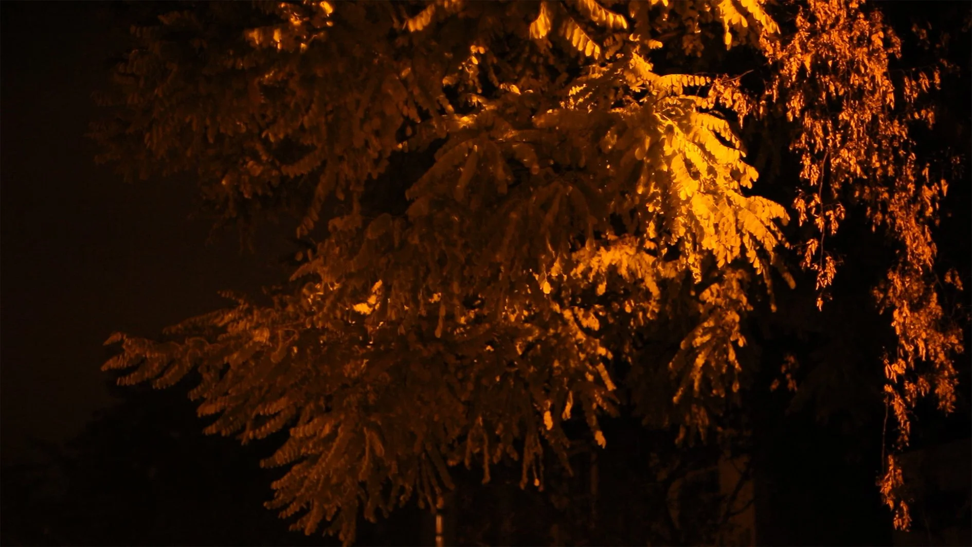 Night Circuits, untitled video still