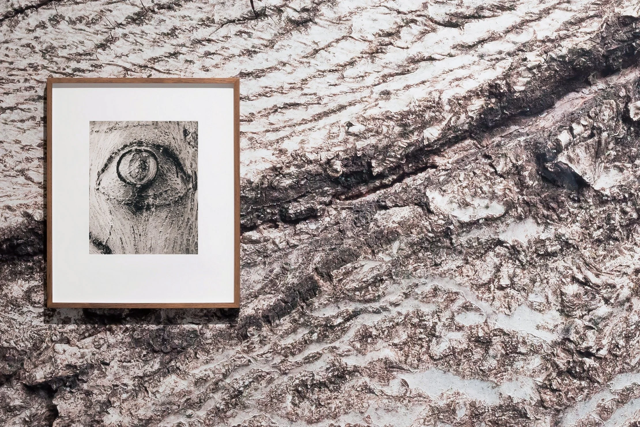 A Tree That Isn't There 2021