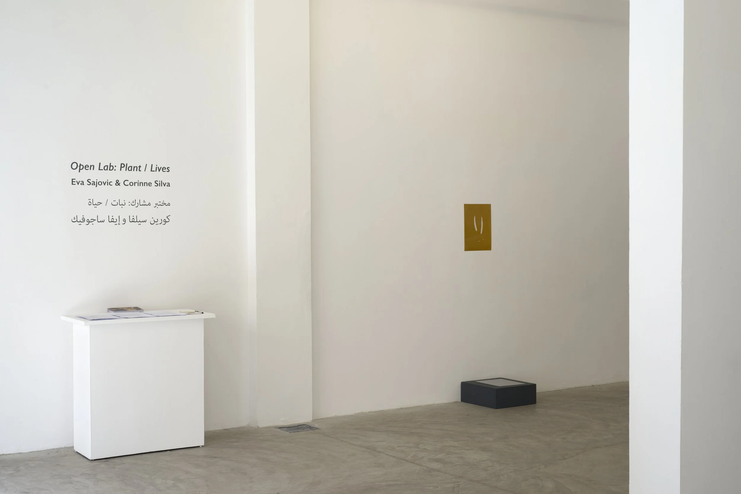 Open Lab/Plant Lives 2016 -17