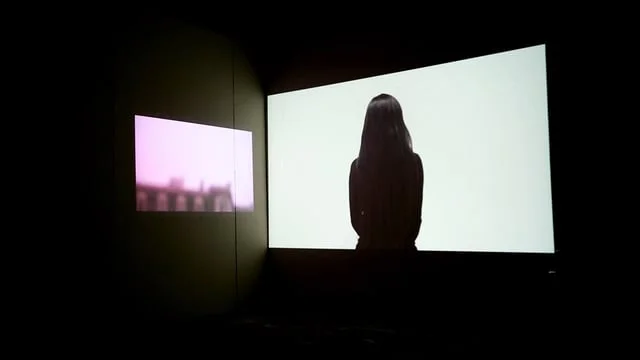 Untitled (Every night before I go to sleep I worry about what if I die and what if I don't)