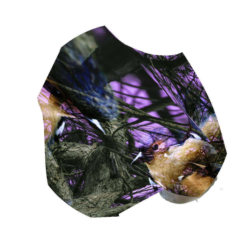 IMG_5615.png