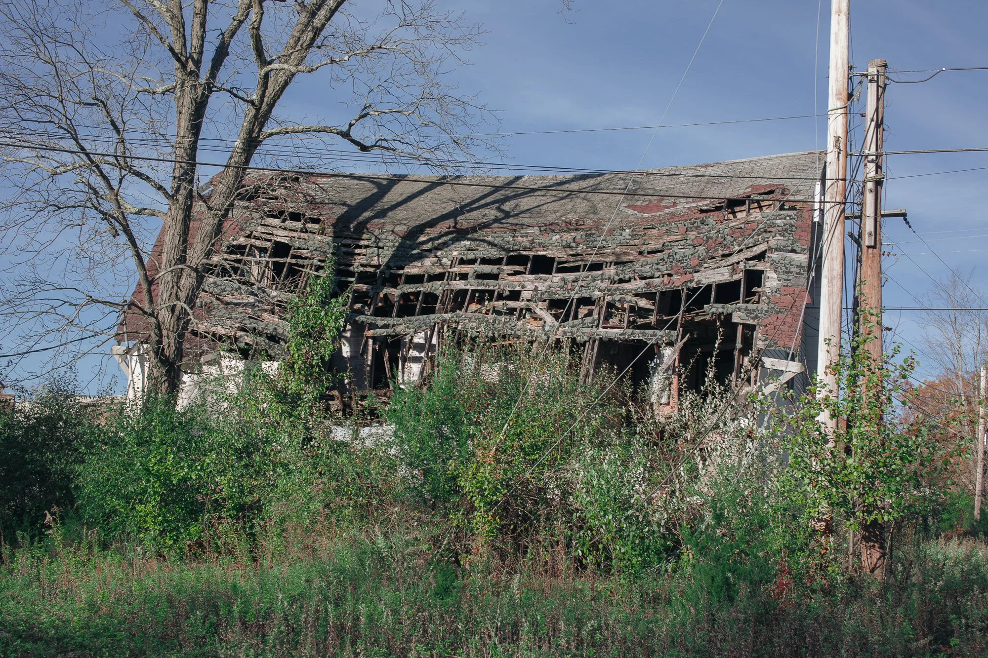 _MG_9060.jpg