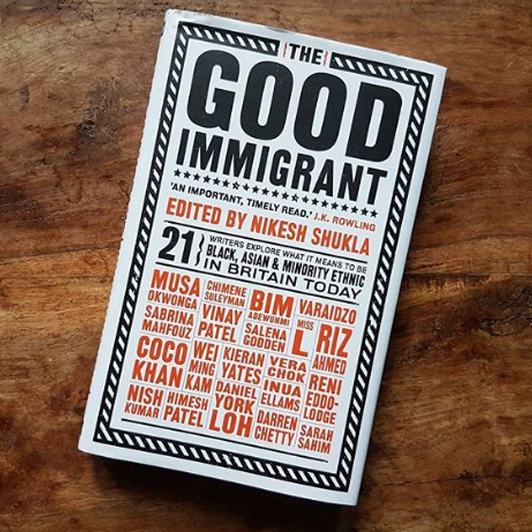 14 the good immigrant.png