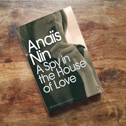 22 a spy in the house of love.png