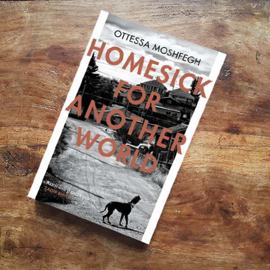 34 Homesick For Another WOrld.png