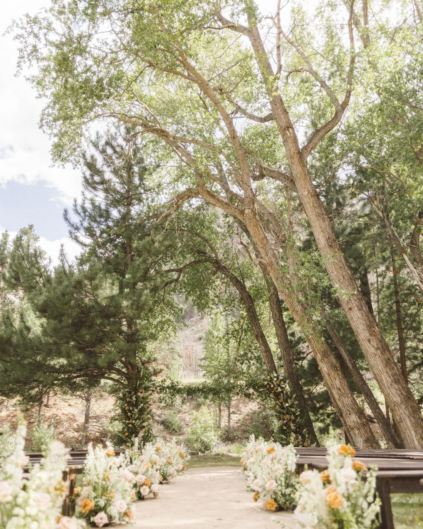 A stunning ceremony site for Meg &amp; Michael&rsquo;s wedding.