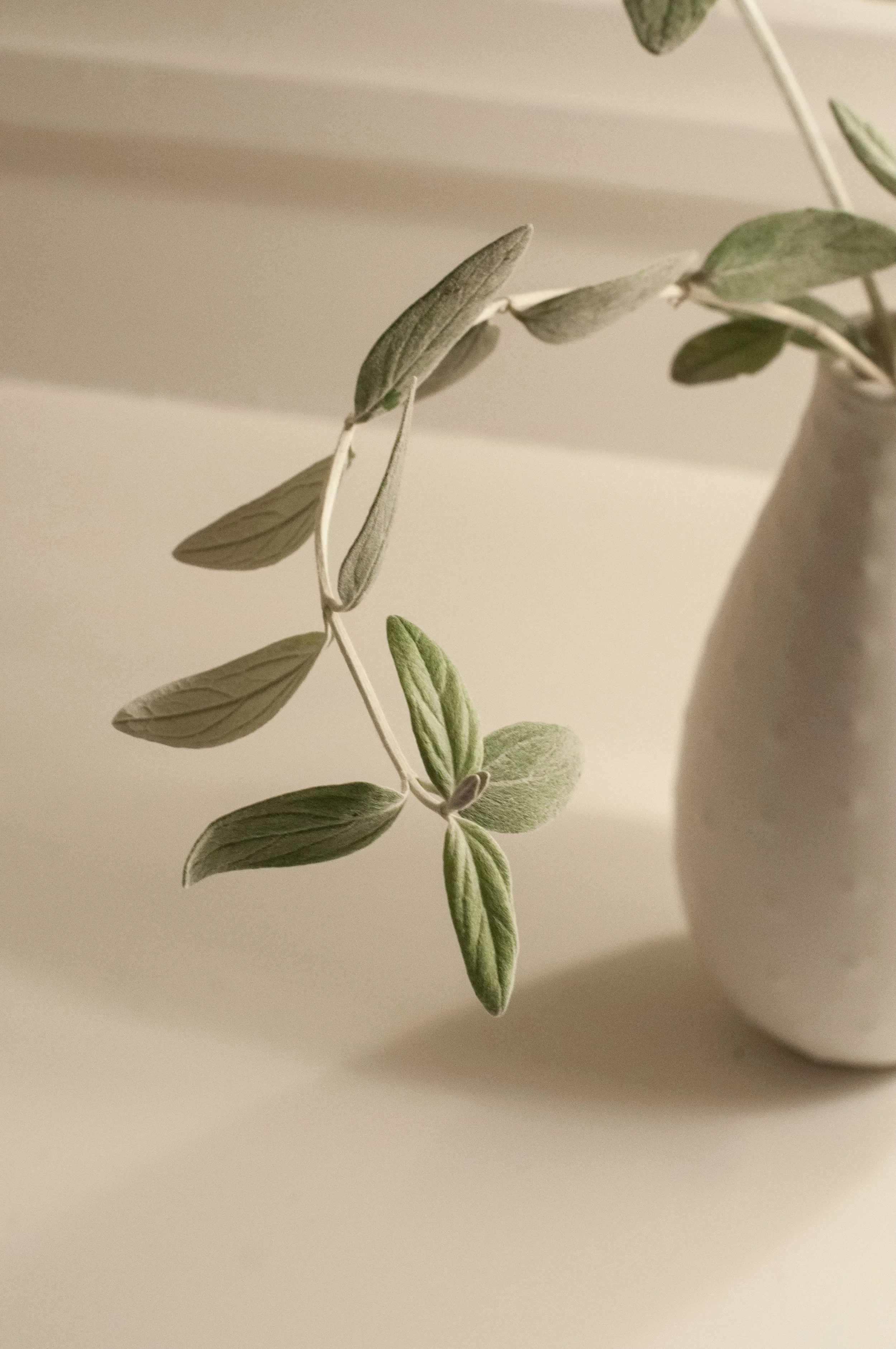 Guest Room, San Francisco Zen Center