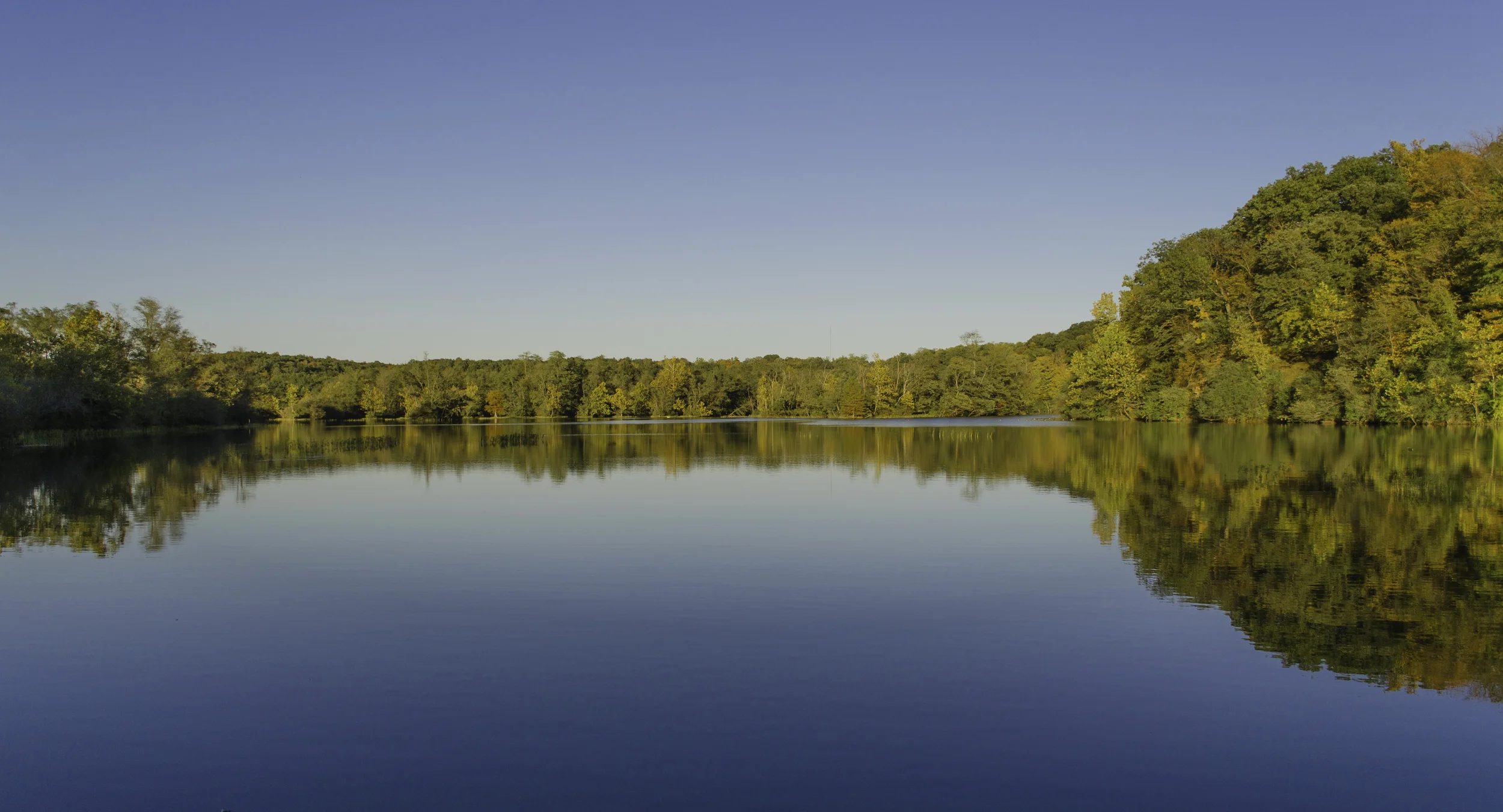 Kickapoo State Park, Illinois