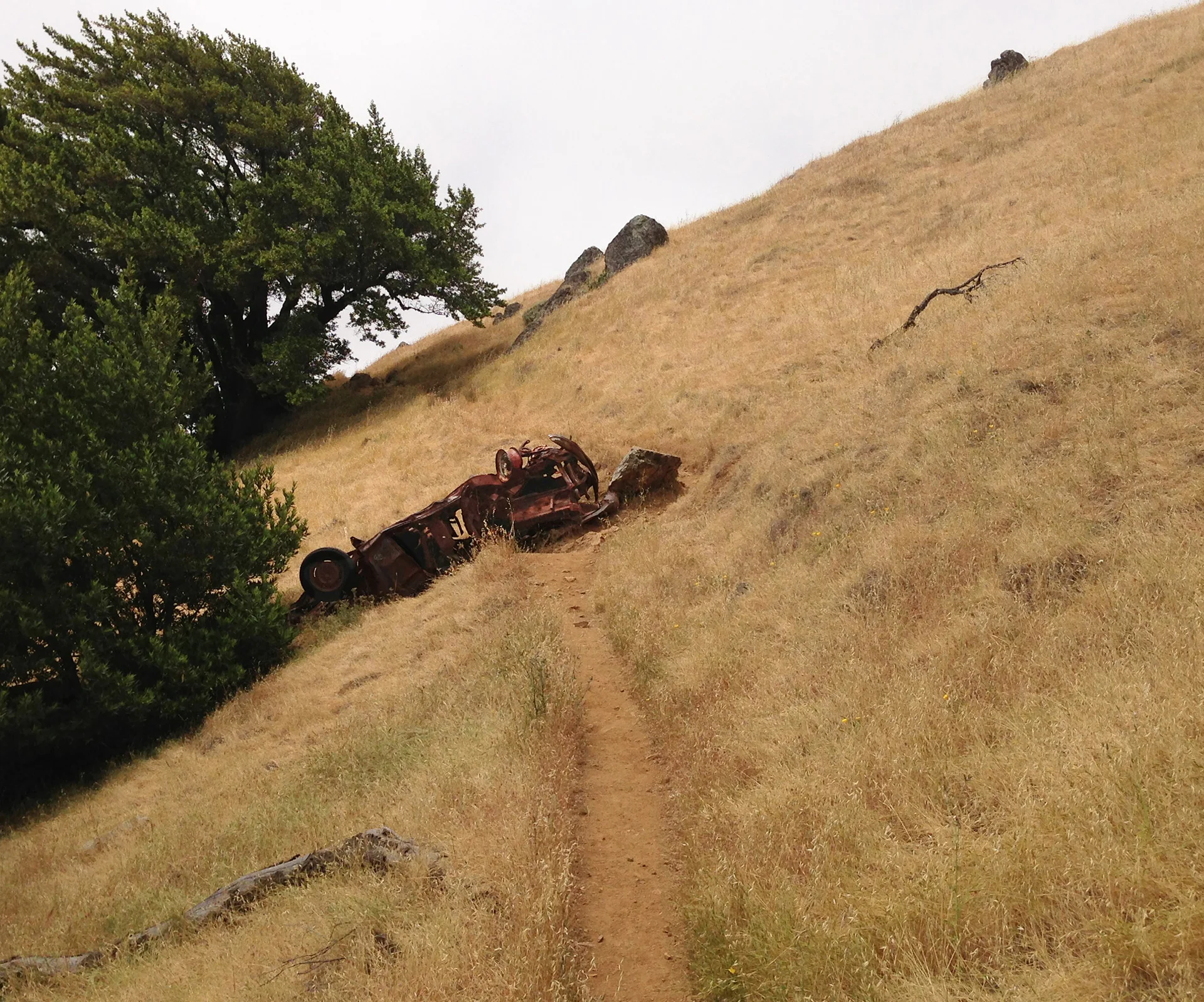 Coastal Trail, Marin County, California