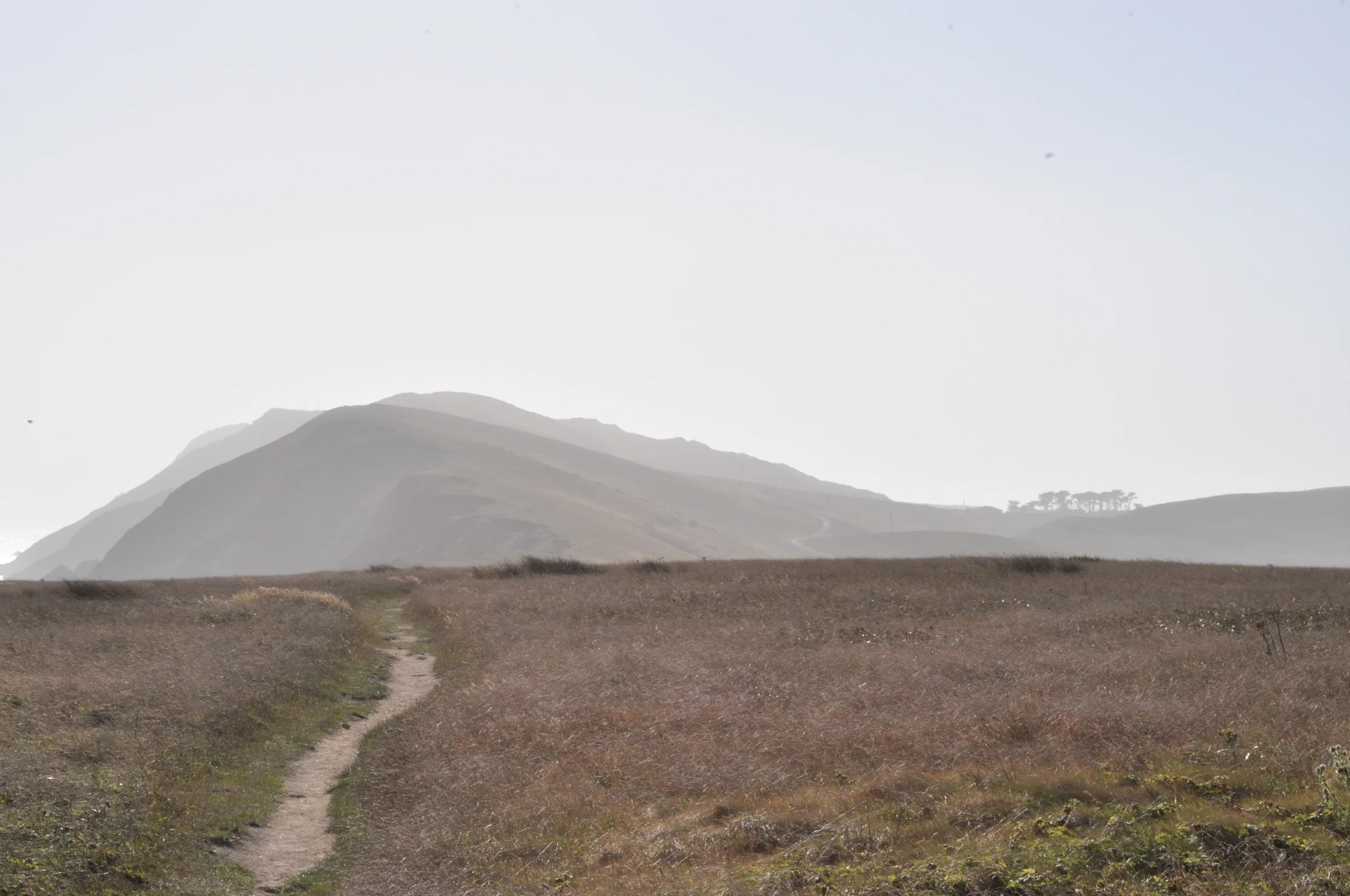 Point Reyes National Sea Shore, California