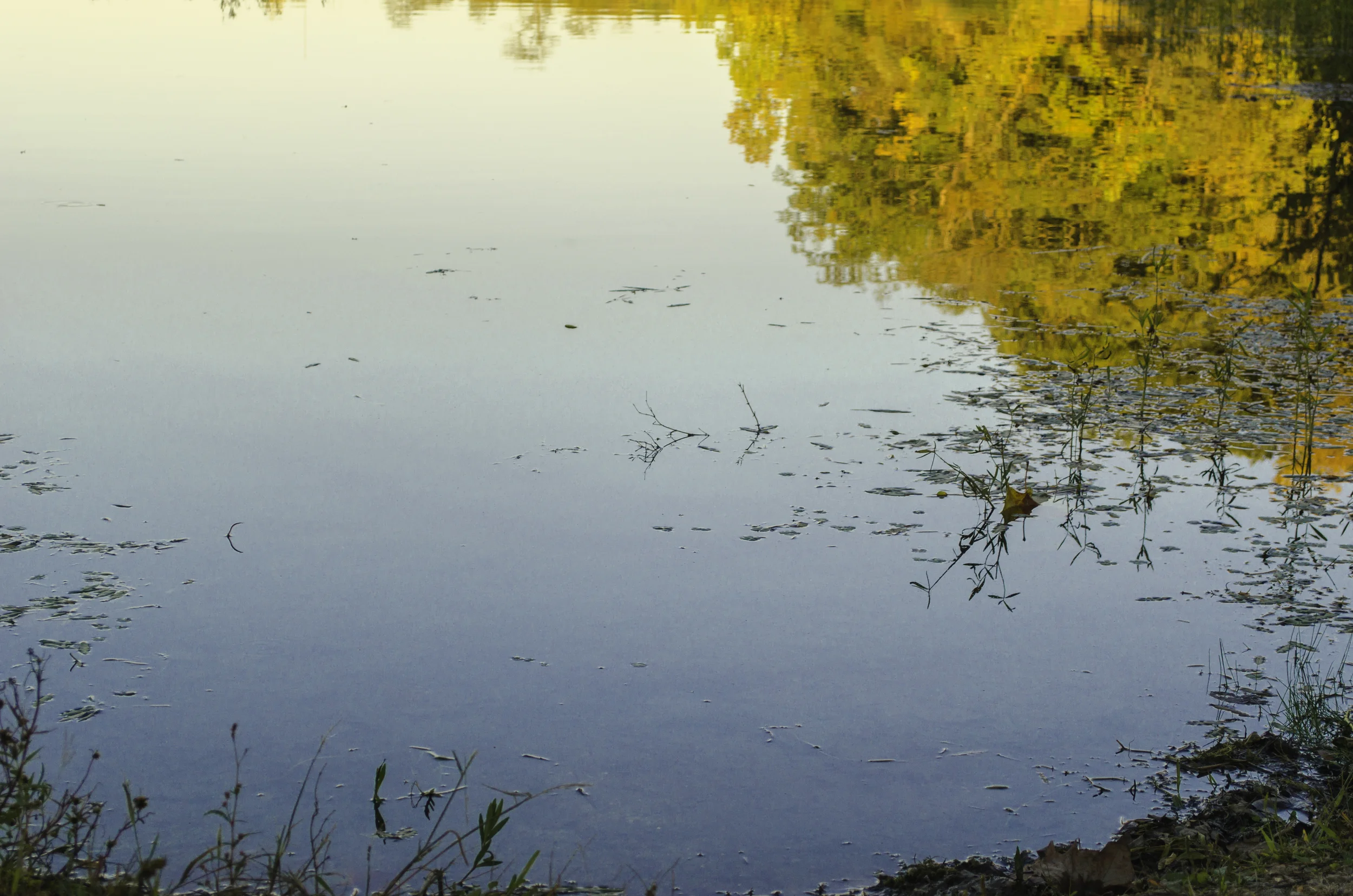 Kickapoo State Park, Illinois