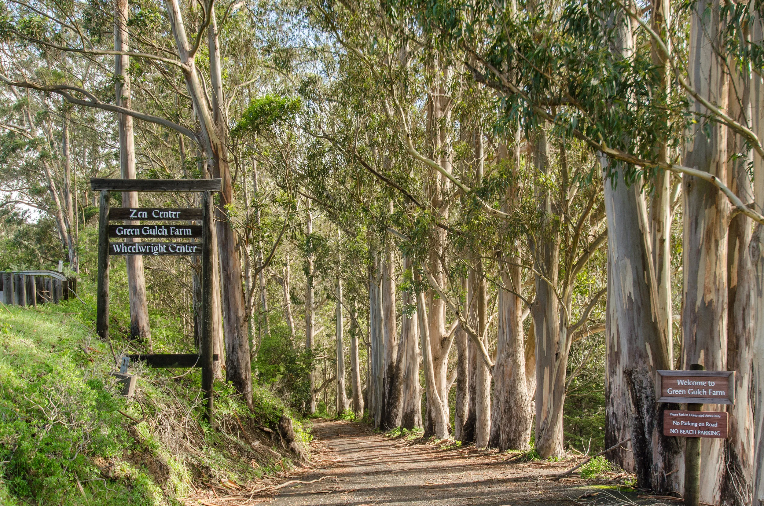 Green Gulch Farm, San Francisco Zen Center