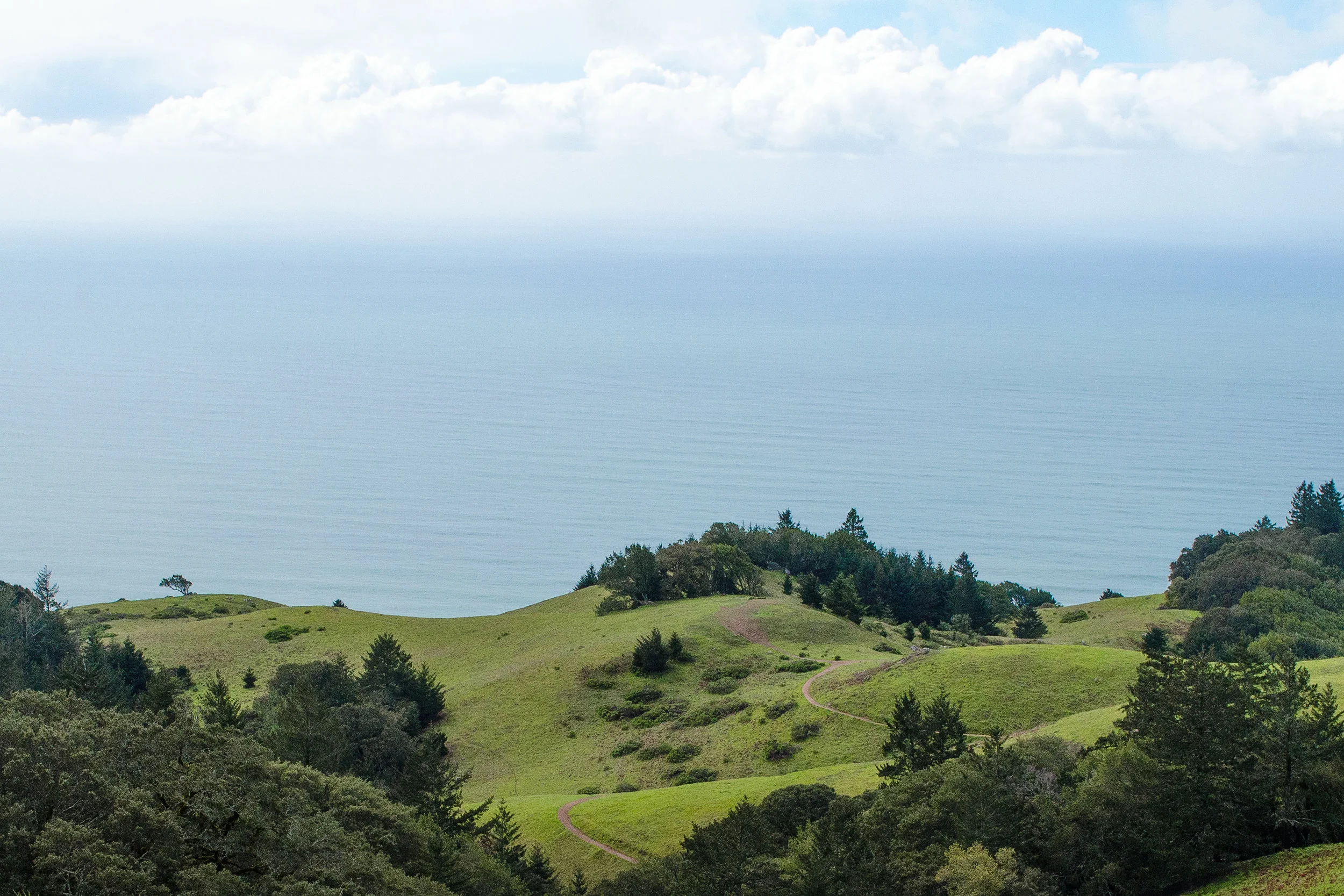 Mount Tamalpais, Marin County, California