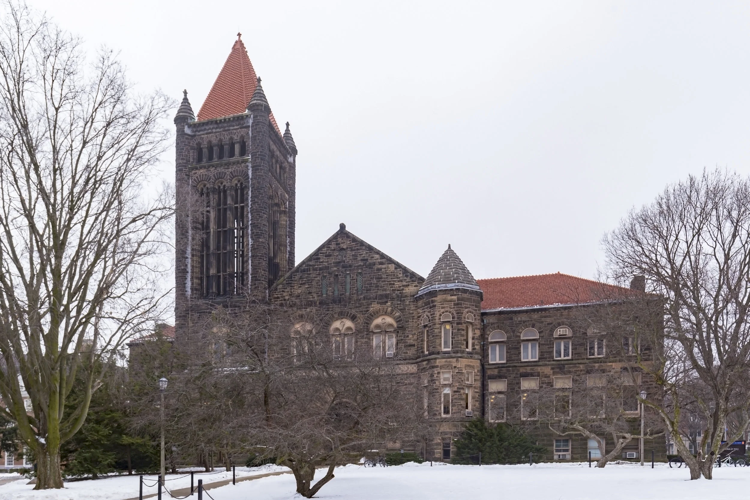 Altgeld Hall, University of Illinois (Winter)
