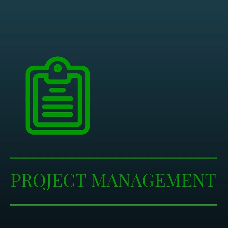ViClarity: Project Management Focus