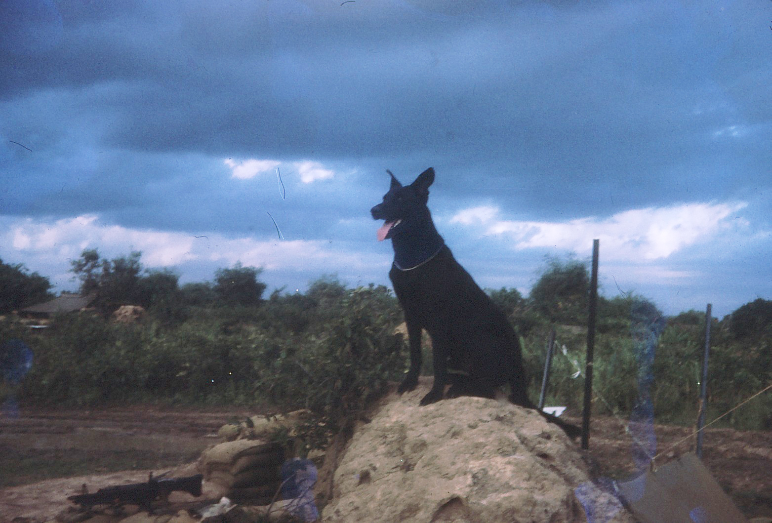 Caesar in Vietnam