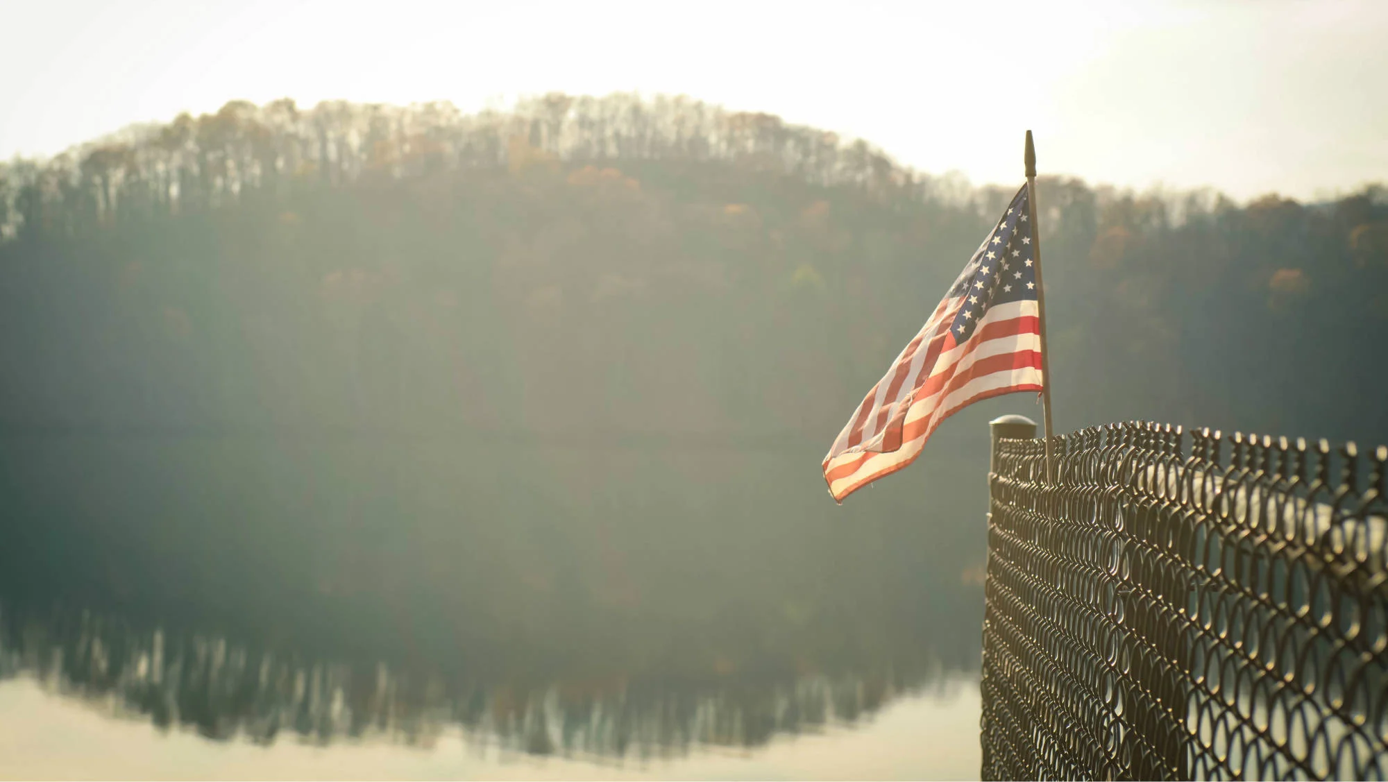 The Reflection Of A King