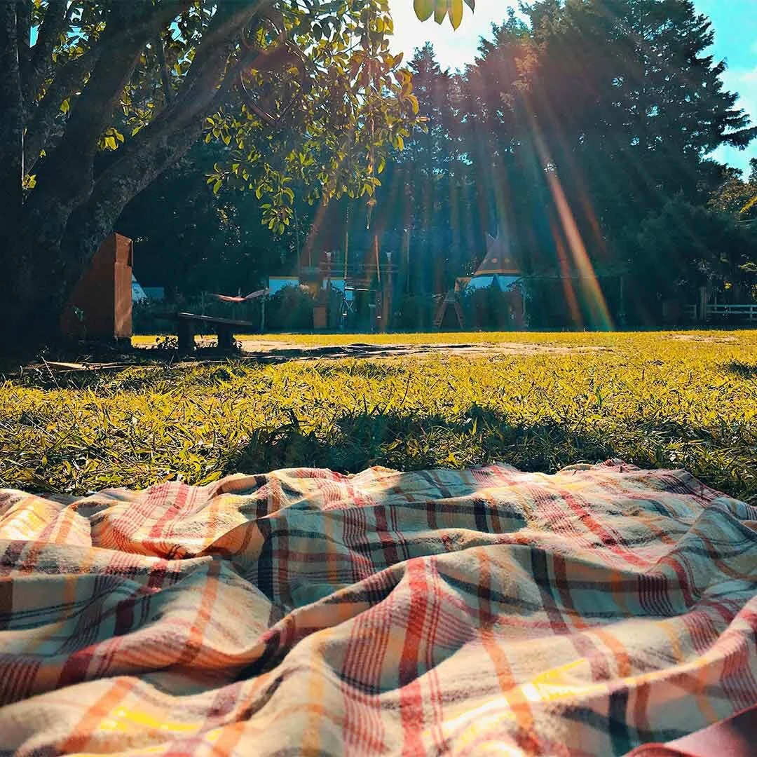 Battlefield Picnics