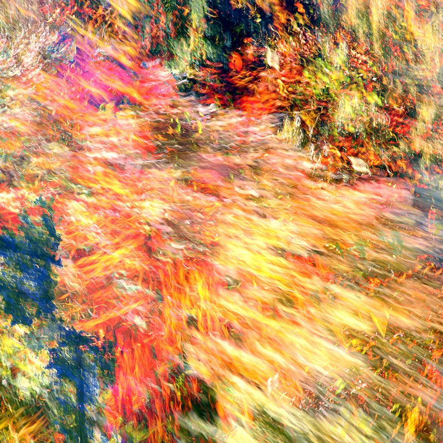 Fall Splash