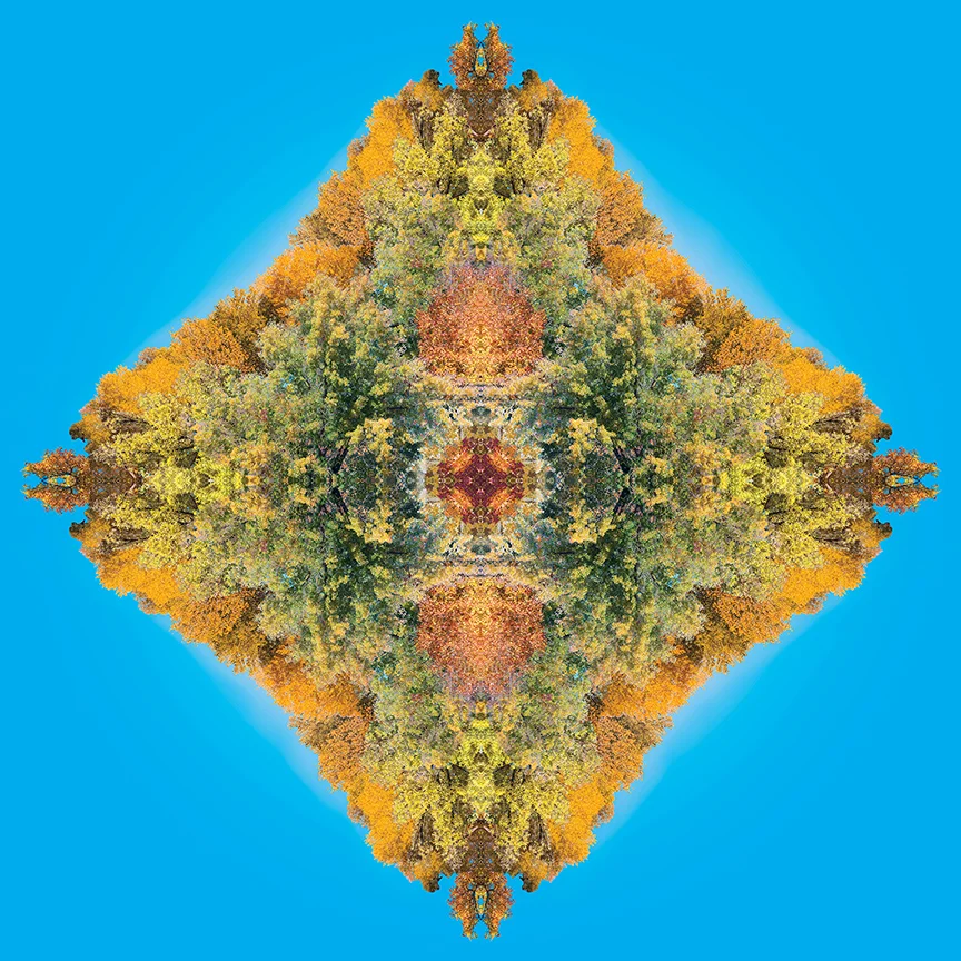 Fall Throne
