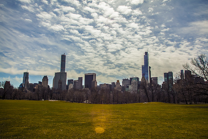 Open lawn in Central Park