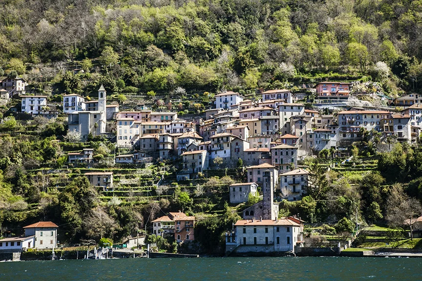 Along the shore