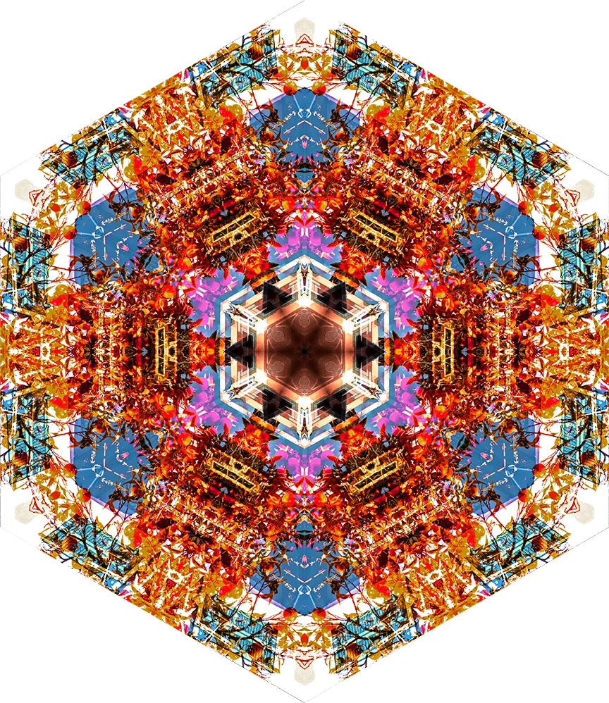 Mandala from above picture