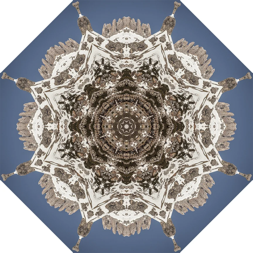 Snowflake 