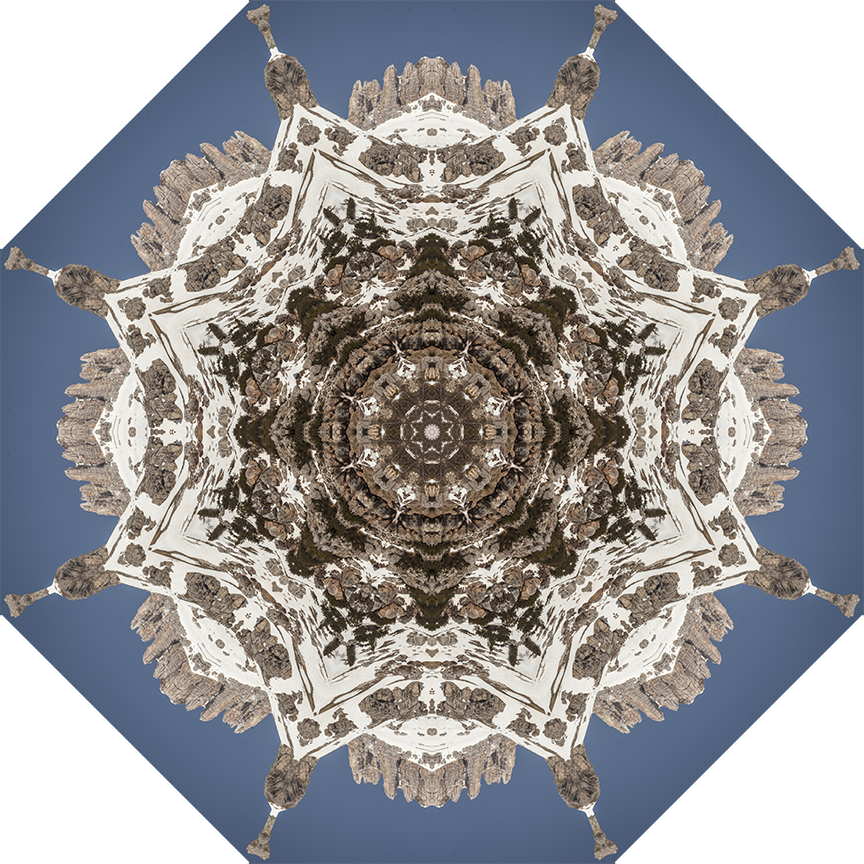 Snowflake