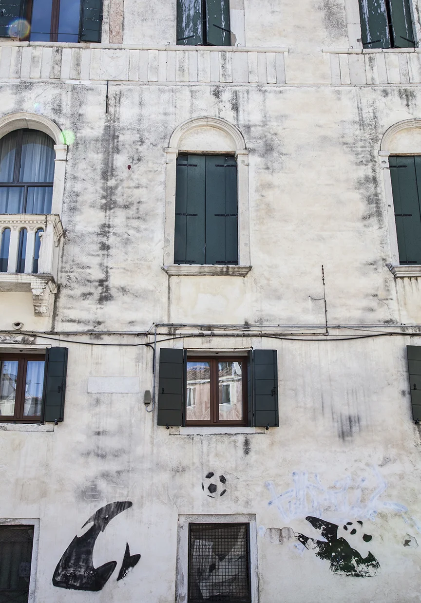 the only good graffiti I saw in Venice