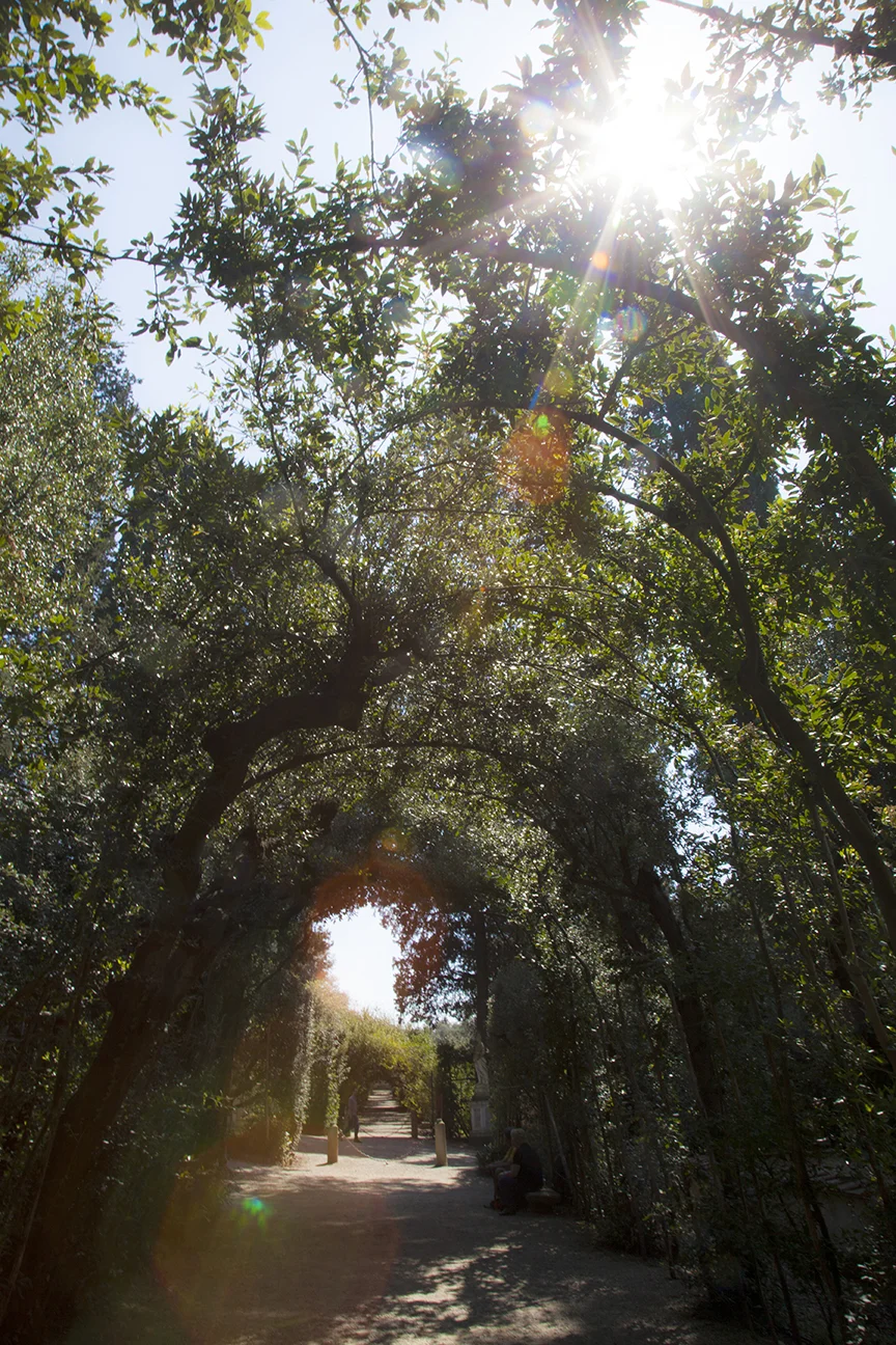 Garden path