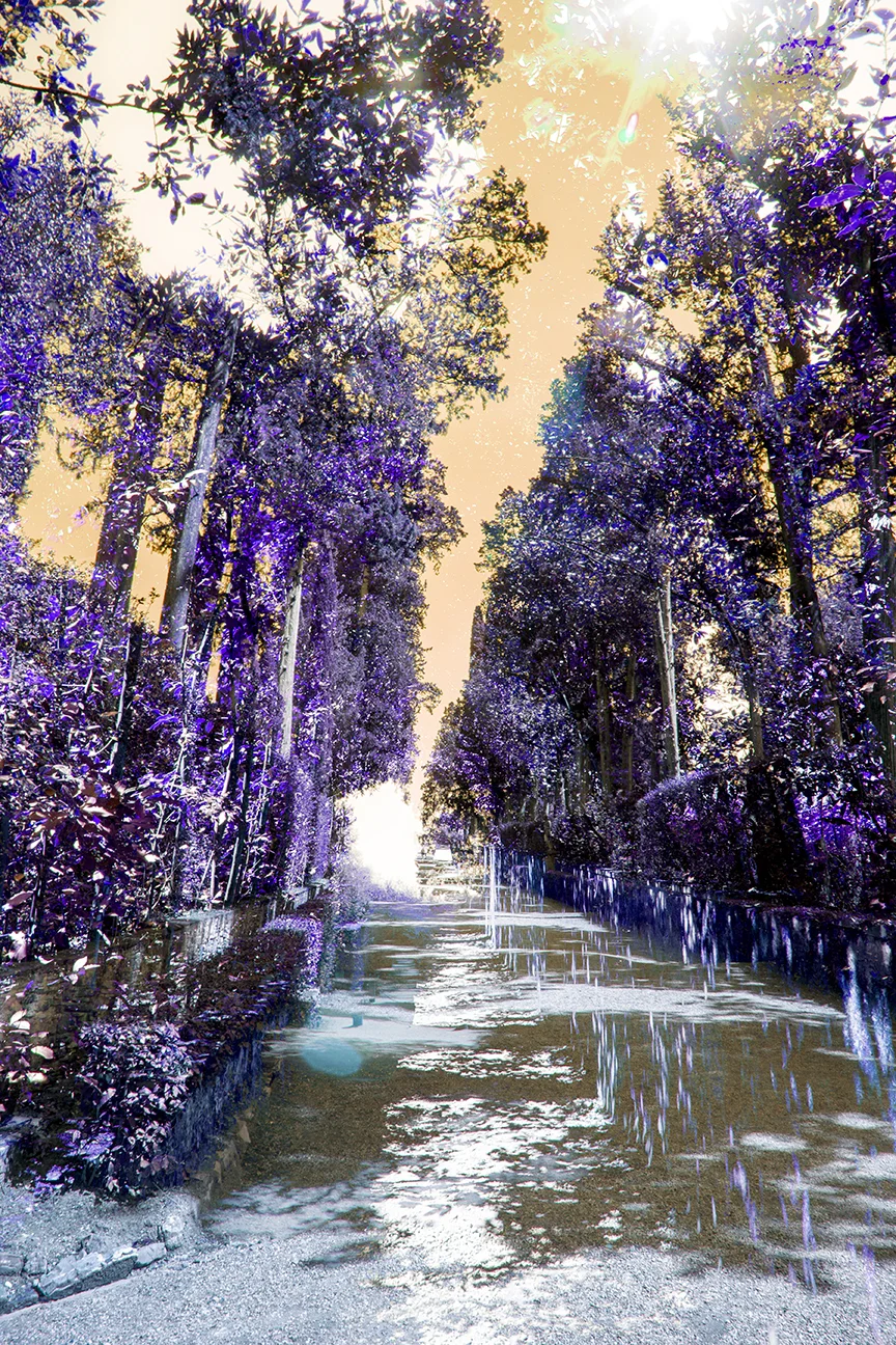 Lots of garden paths