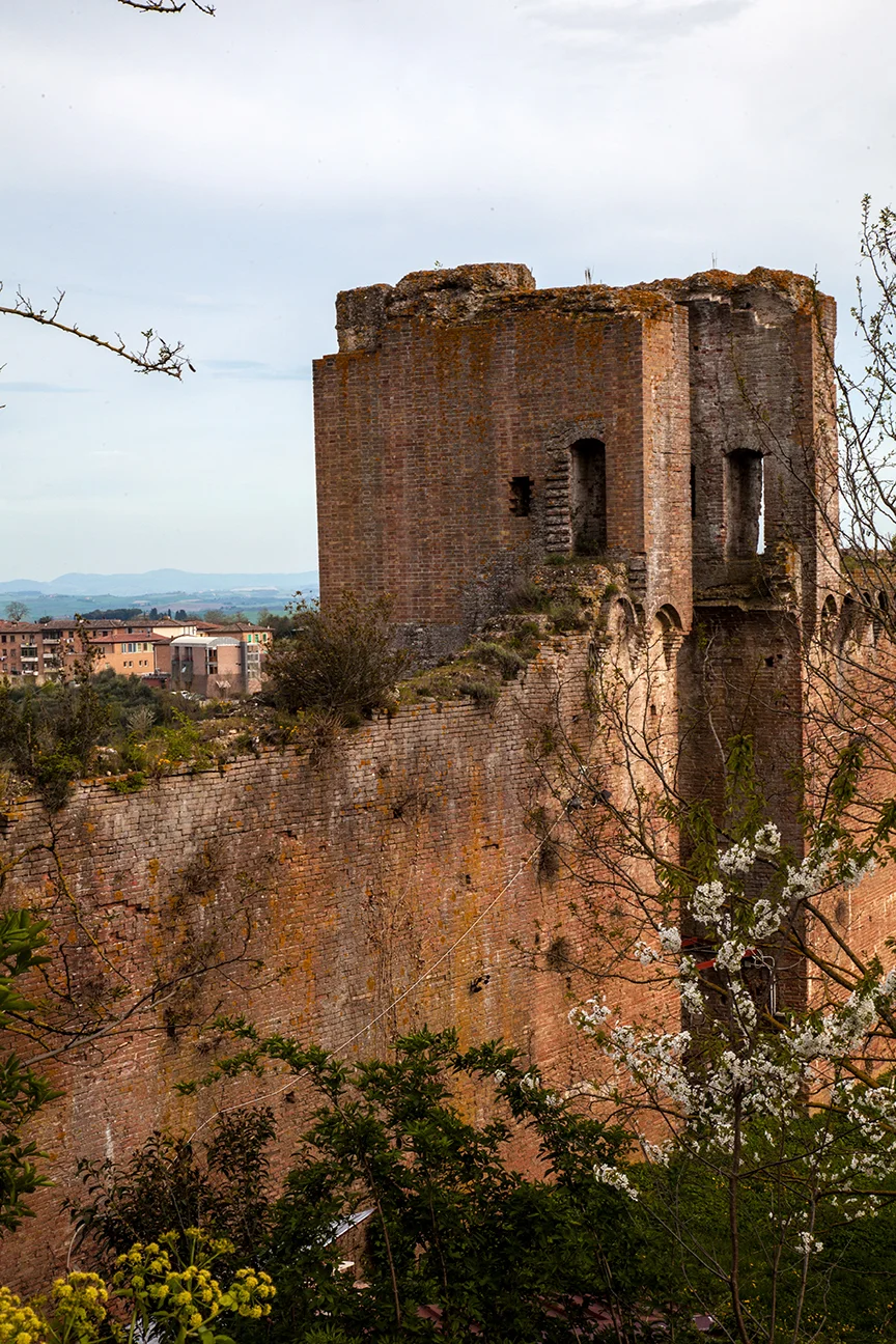 Old city wall